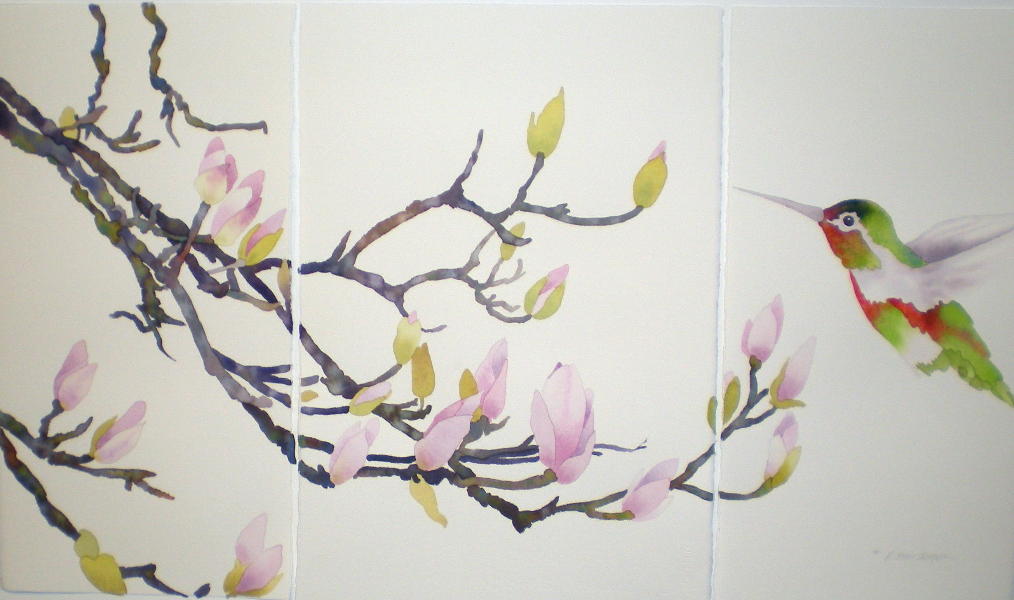 japanese magnolia tree pictures. Japanese Magnolia Mini-